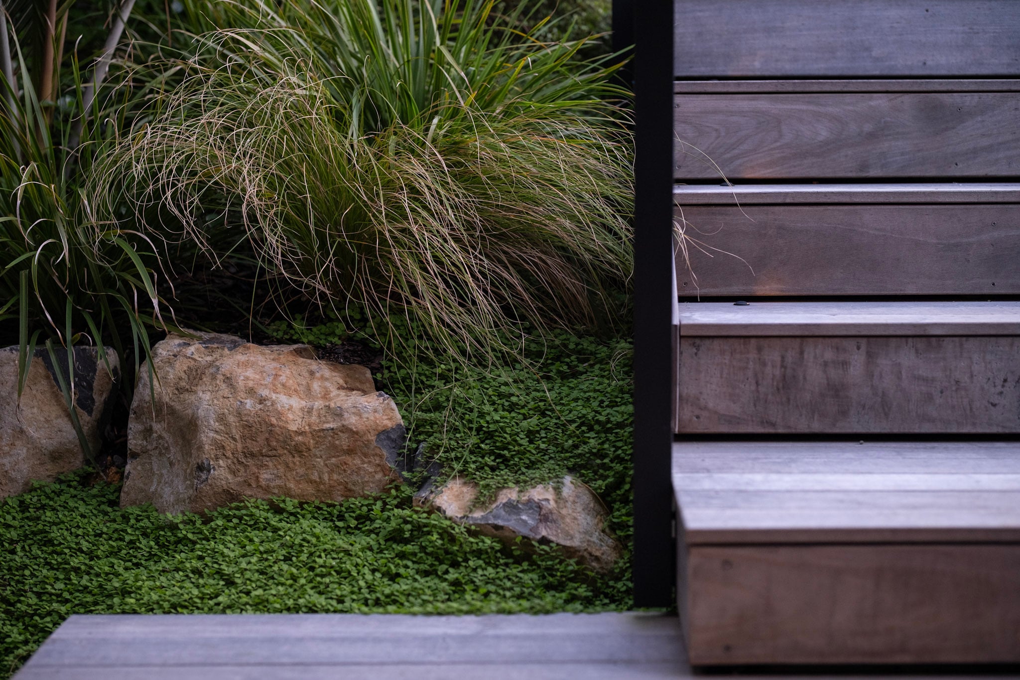 NZ Native Front Garden | Torbay