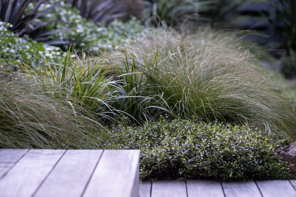 Garden Consultation