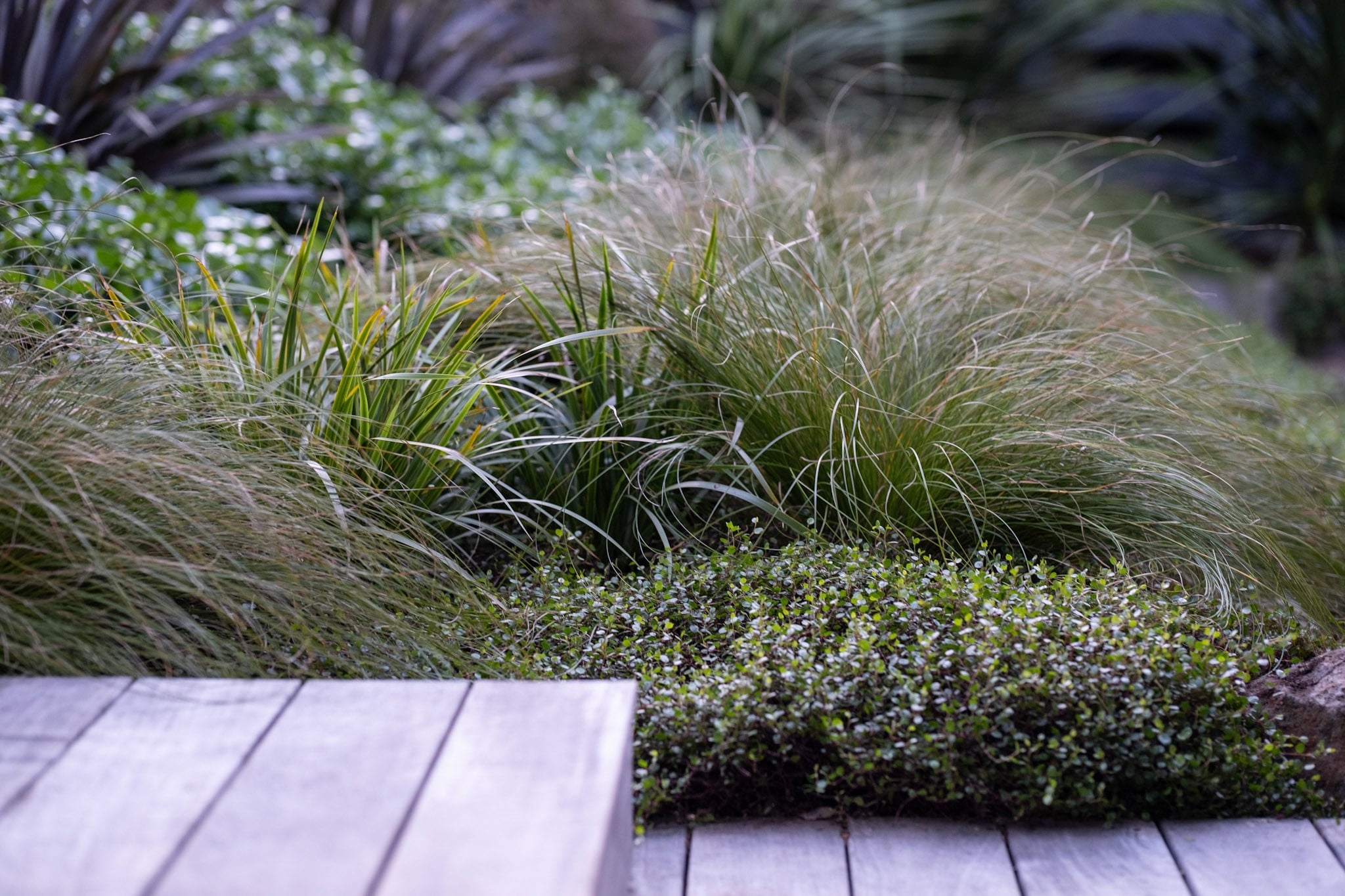 Garden Consultation