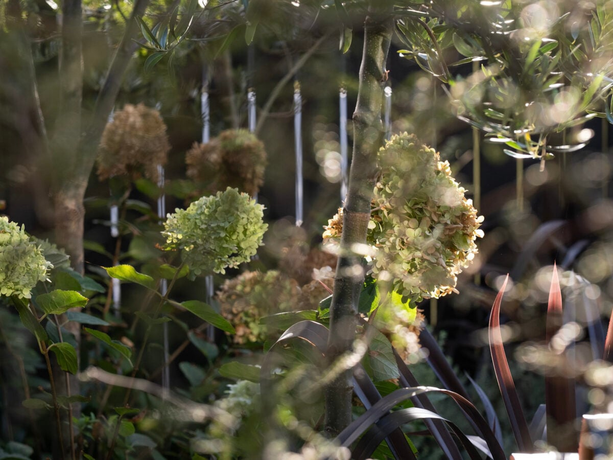 The Art of Contrast: Combining Native Plants with Floral Interest for Year-Round Visual Impact
