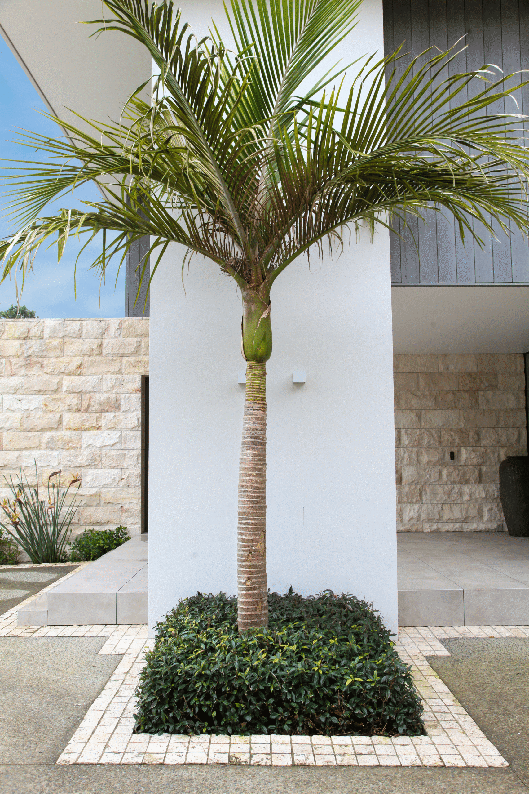 Coastal Garden | Castor Bay