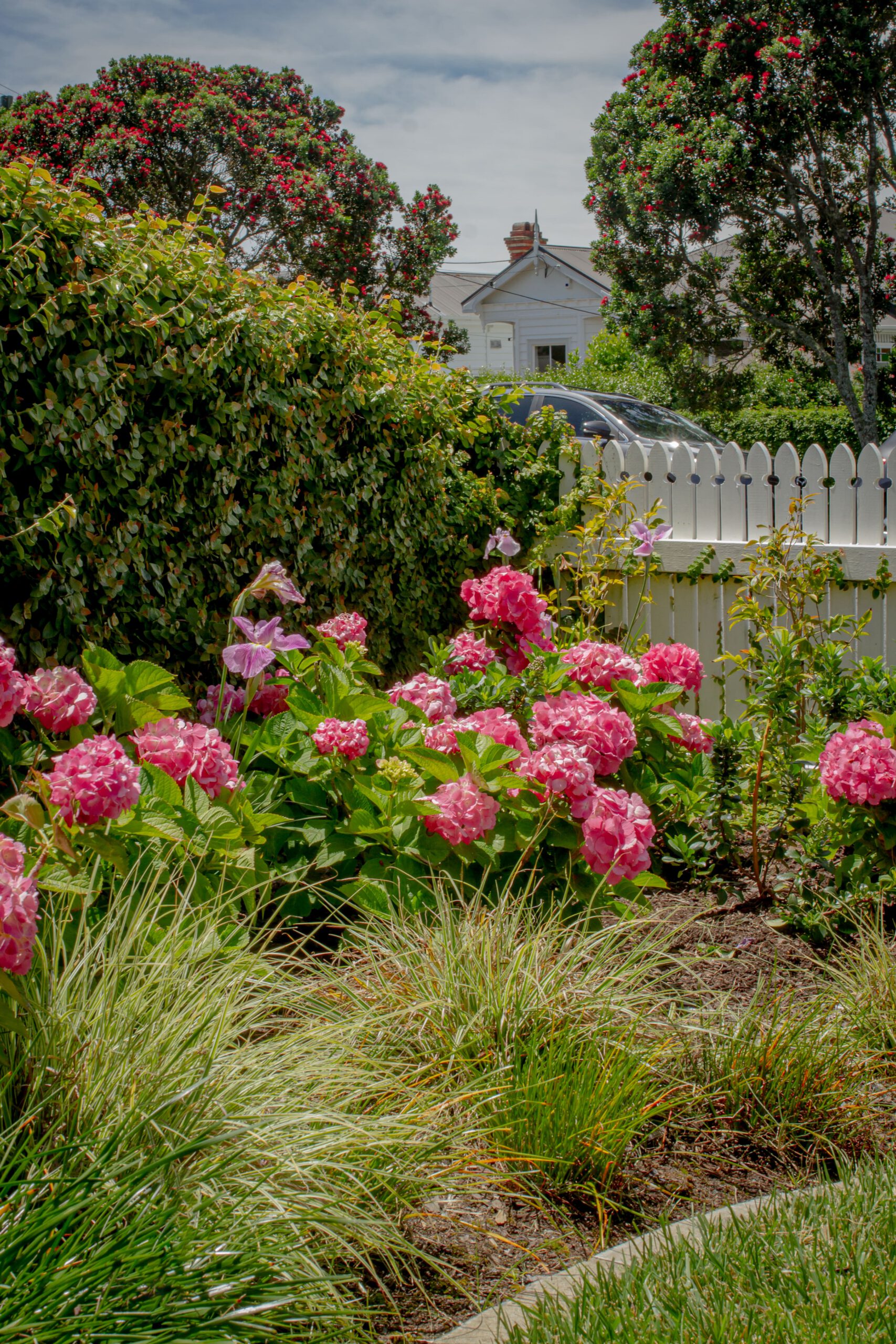 Pink Floral Garden | Stanley Bay