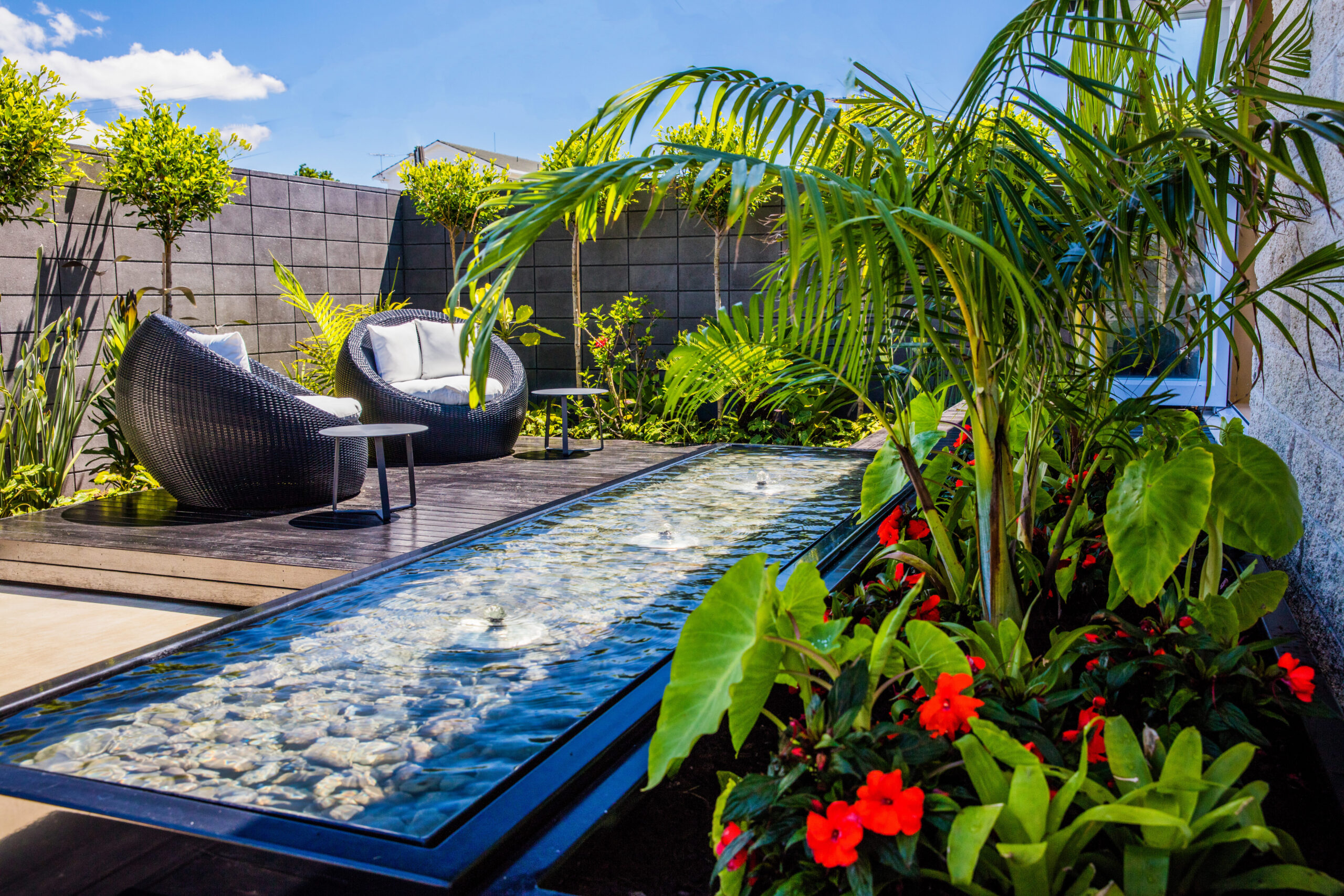 Tropical courtyard garden in Hauraki, Auckland