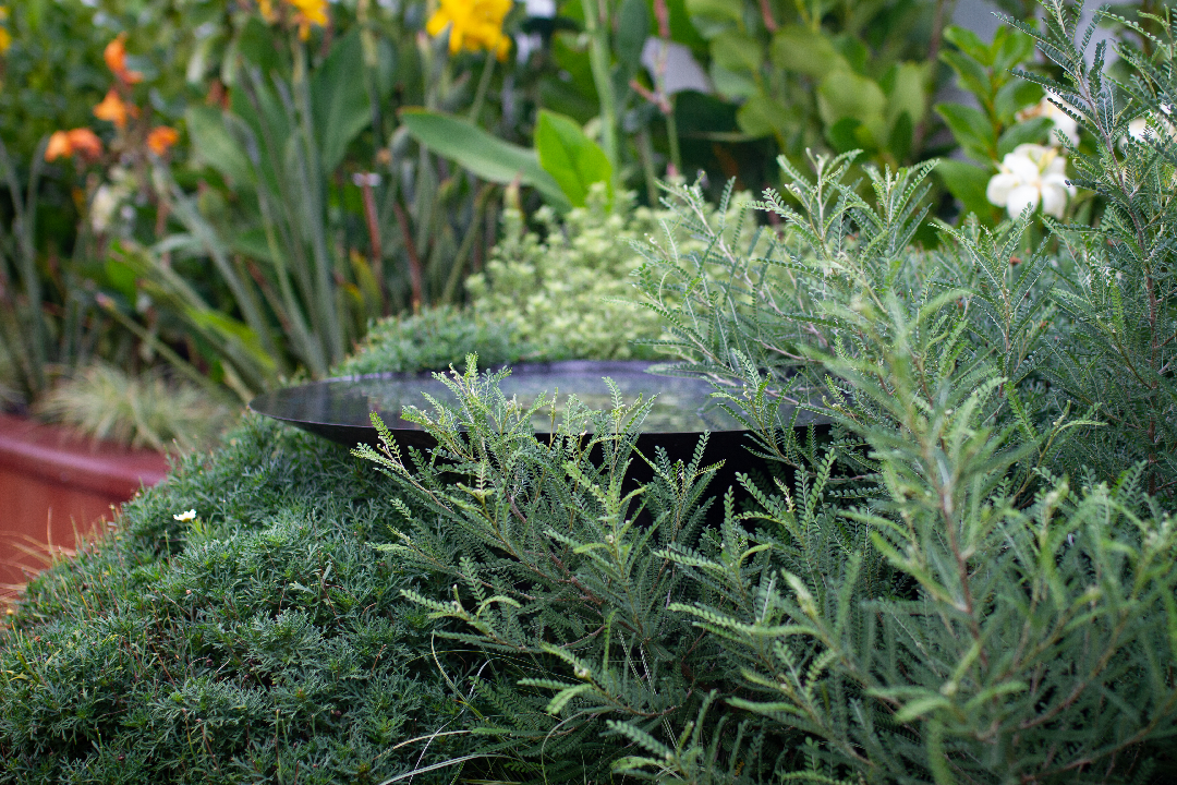 Bee & Bird Attracting Garden | Hauraki